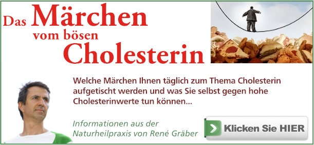 Buch: Cholesterin Märchen von René Gräber