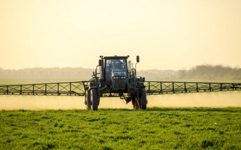 Traktor sprüht Gift auf Pflanzen