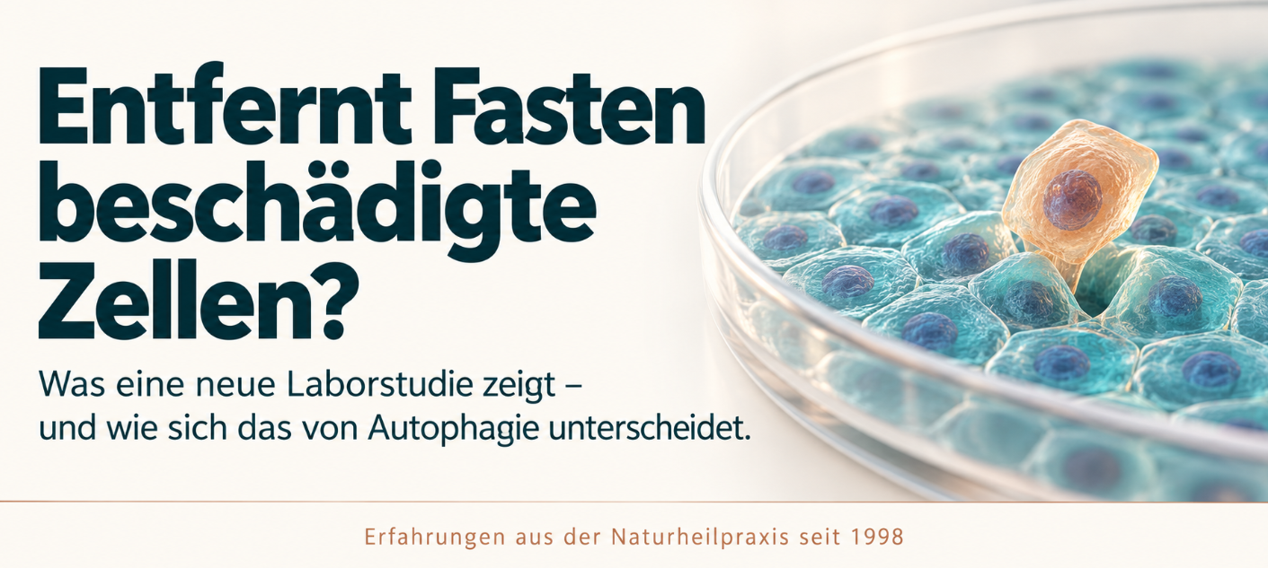 Illustration einer Zellkultur, aus deren Zellverband eine einzelne Zelle ausgestoßen wird