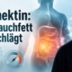 René Gräber vor medizinischem Hintergrund mit Illustration von Bauchorganen und der Schlagzeile „Adiponektin: Wenn Bauchfett Alarm schlägt“