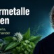 Beitragsbild René Gräber: Ausleitung von Schwermetallen mittels des klinghardt Protokolls