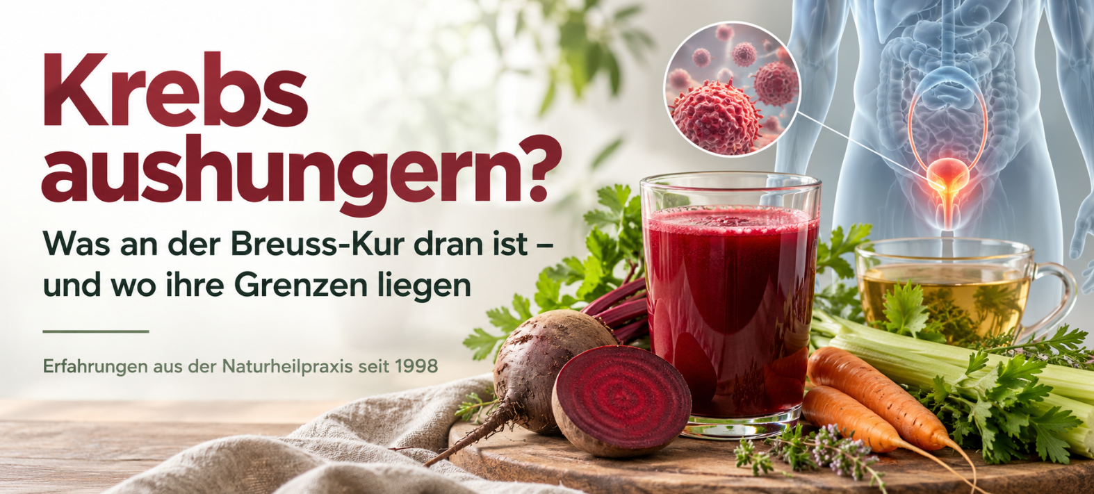 Breuss-Kur bei Krebs mit Rote-Bete-Saft, Gemüse und Heilkräutertee – Fasten, Tumorstoffwechsel und Grenzen der Methode