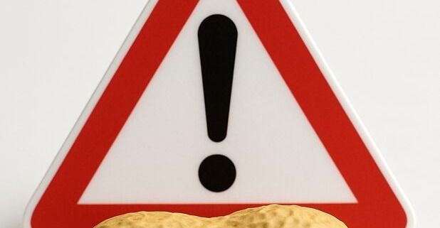 Ungeschälte Erdnuss vor rotem Warnschild mit Ausrufezeichen als Symbol für Allergie- und Aflatoxin-Gefahr