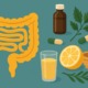 Illustration eines Darms mit natürlichen Heilmitteln wie Kräutern und Zitrone – Symbol für Fruktoseintoleranz und naturheilkundliche Darmtherapie